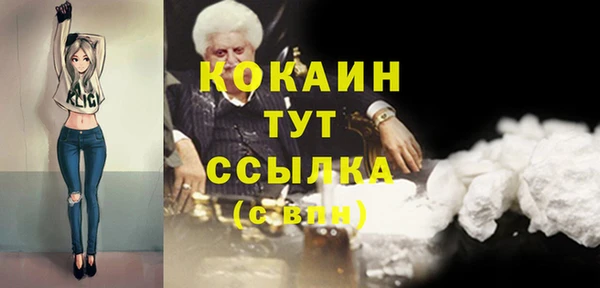 гидра Алексин